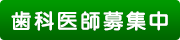 歯科医師募集中
