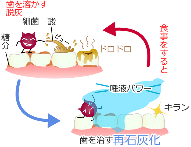 食事による脱灰と再石灰化のサイクル