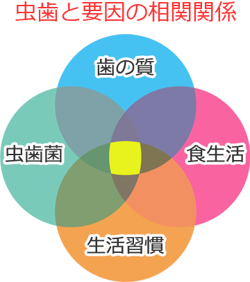 虫歯と要因の相関関係