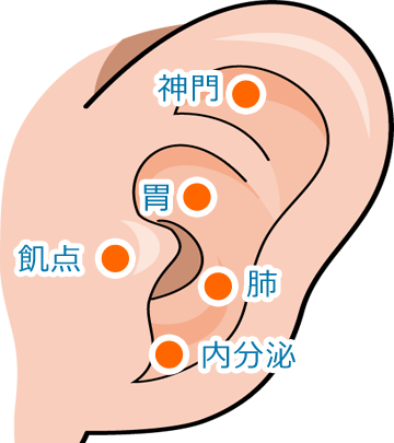 耳つぼを刺激するシールの位置