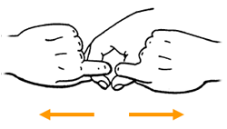 Ｏ－リングテストの方法